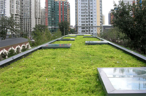 Модное и экологичное решение-зеленая зона на крыше частного дома