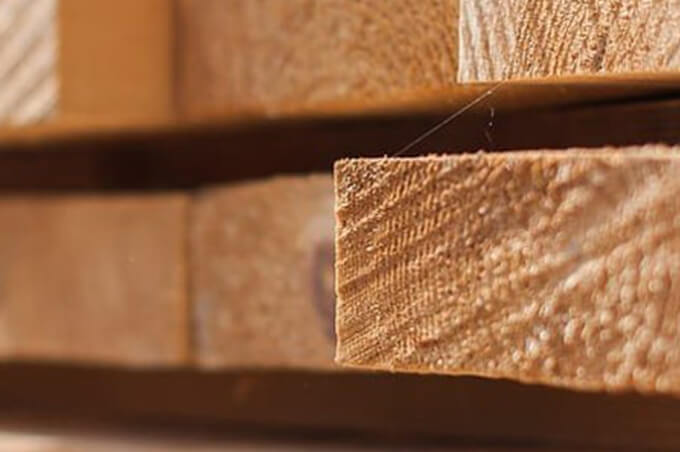 Направление дерево СБЕ КМС