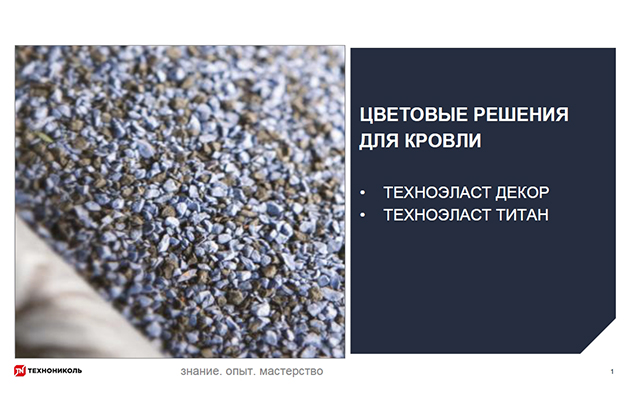 Курс по строительству в Академии ТЕХНОНИКОЛЬ «Цветовые решения для кровли»