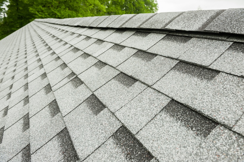 SHINGLAS: преимущества и секреты качества гибкой черепицы