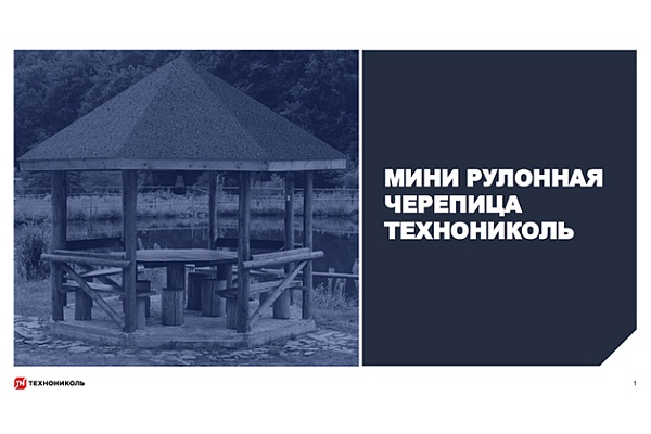 Фото курса «Мини рулонная черепица»