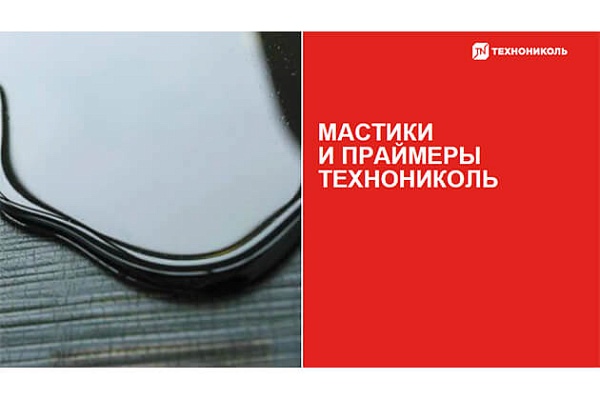 Фото курса «Классификация мастик»